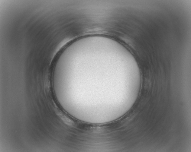 X0000062151458200512231519