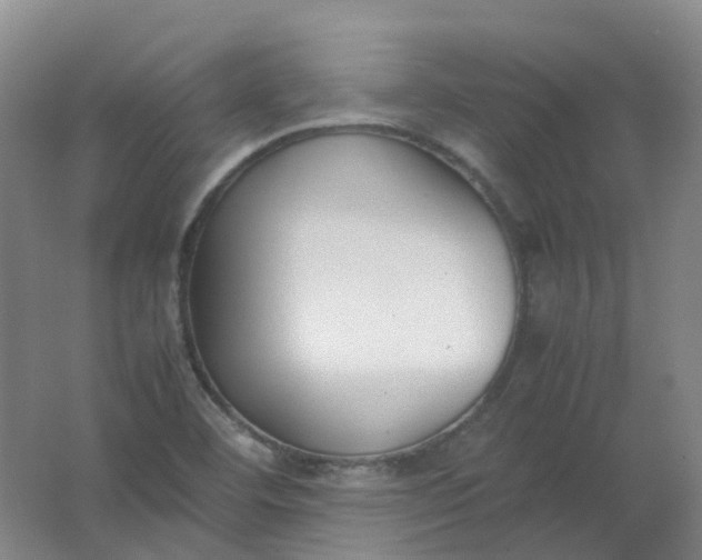 X0000062151460200512231519