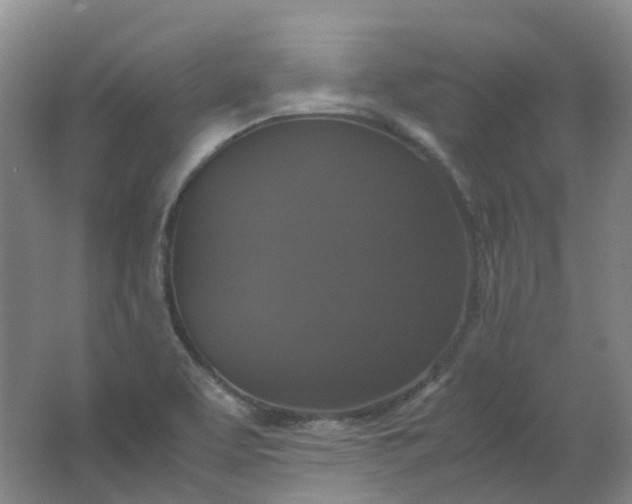 X0000062151463200512231519