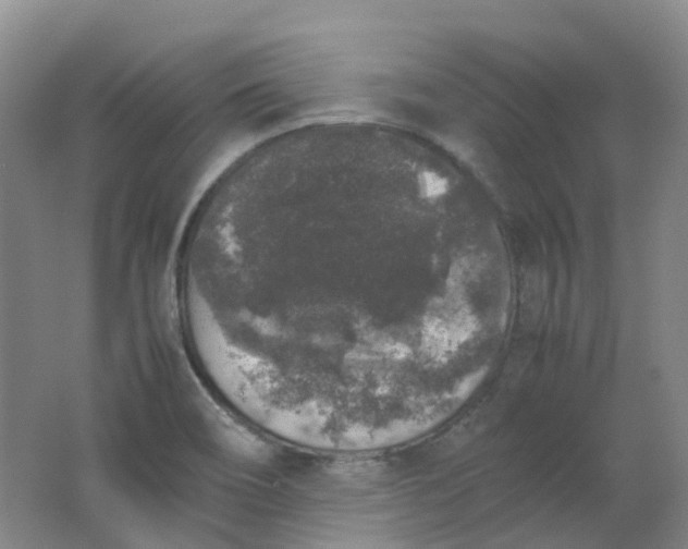 X0000062151466200512231519