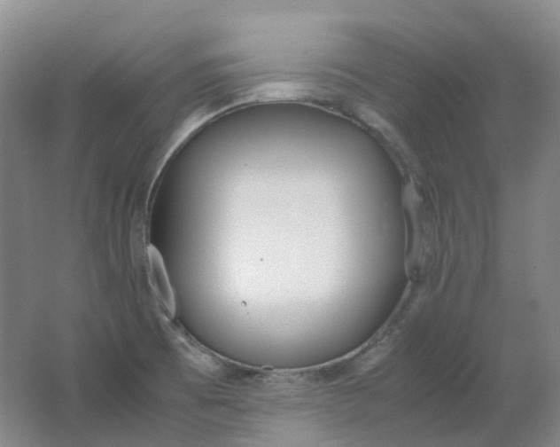 X0000062151473200512231519