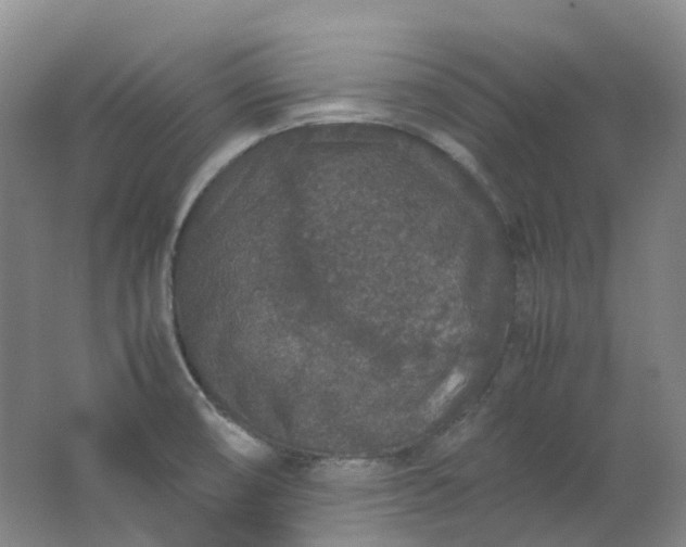 X0000062151474200512231519