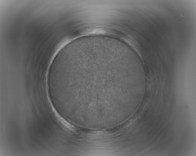 X0000062151475200512231519
