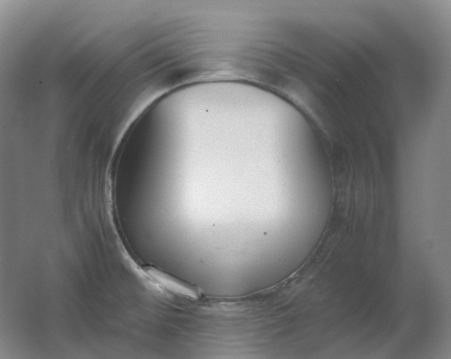 X0000062151476200512231519