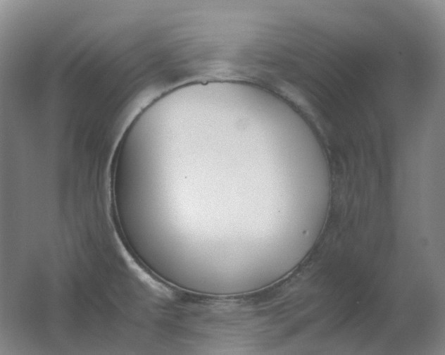 X0000062151479200512231519