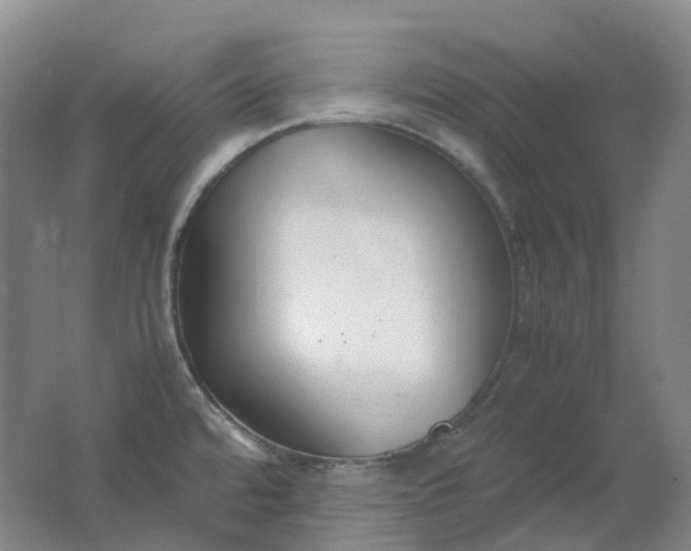 X0000062151480200512231519