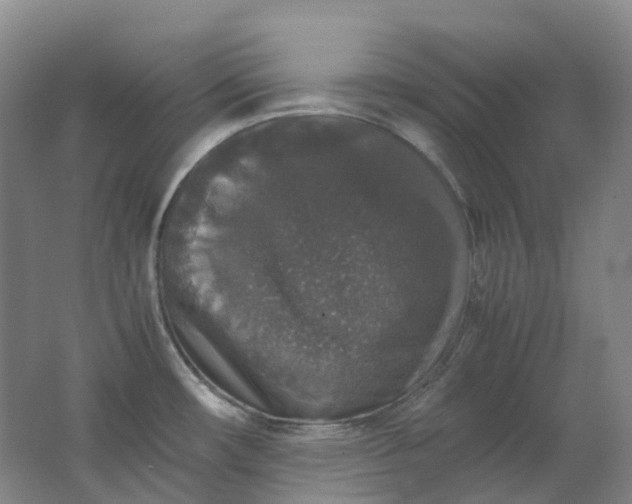 X0000062151482200512231518