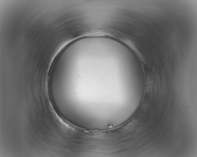 X0000062151484200512231518