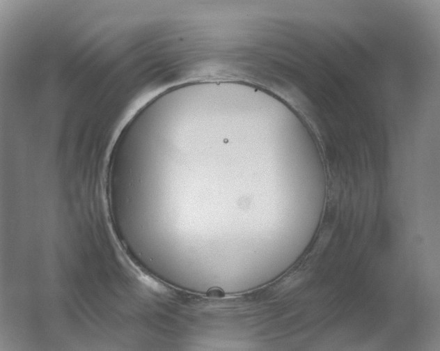 X0000062151486200512231518