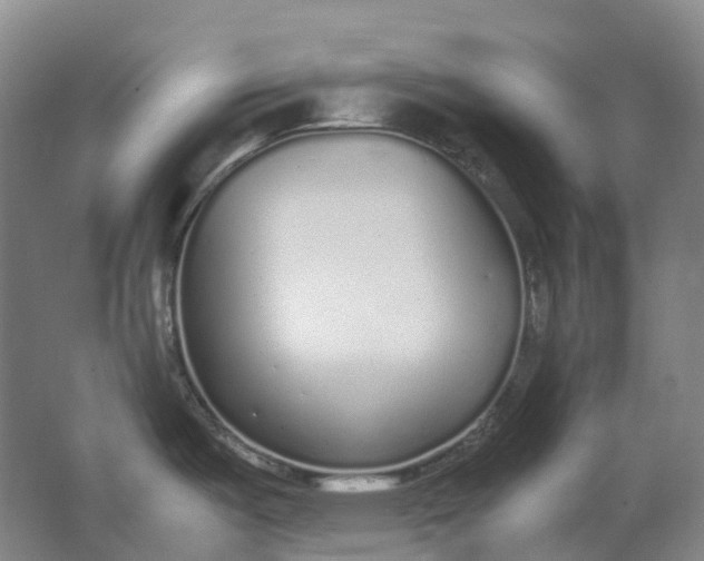 X0000062151487200512231518