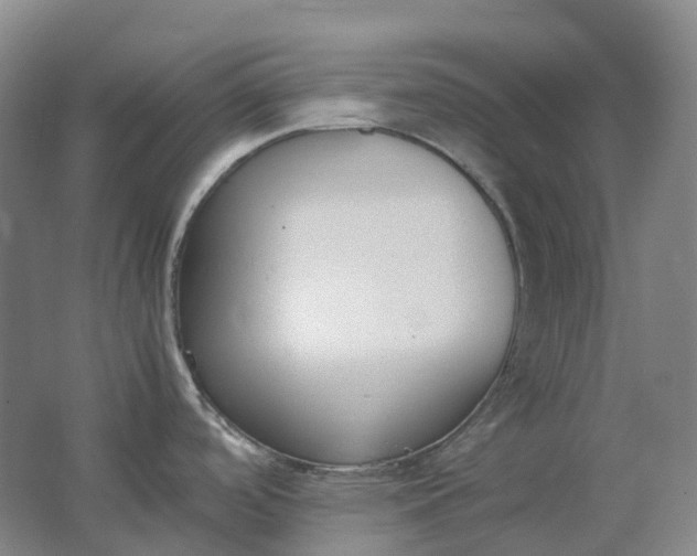 X0000062151488200512231518
