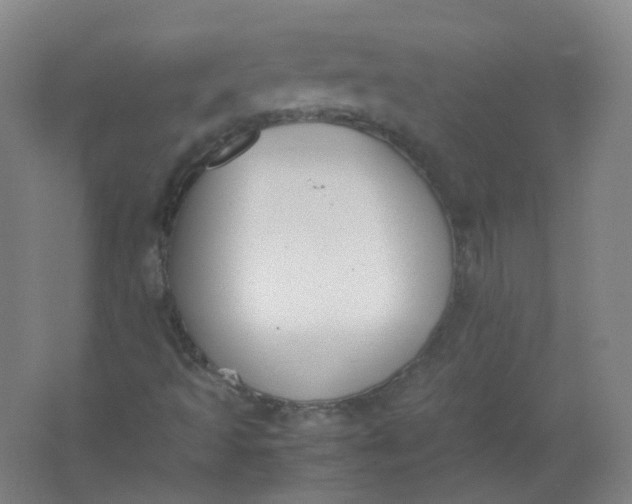 X0000062151493200512231518