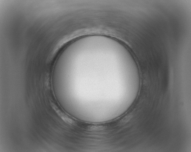 X0000062151499200512231518