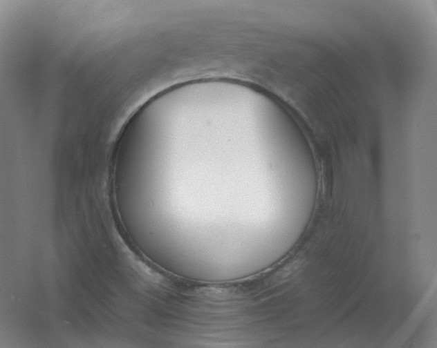 X0000062151500200512231518