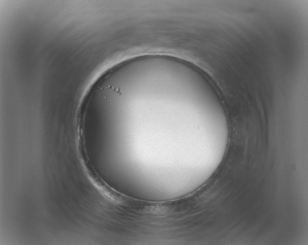 X0000062151511200512231518