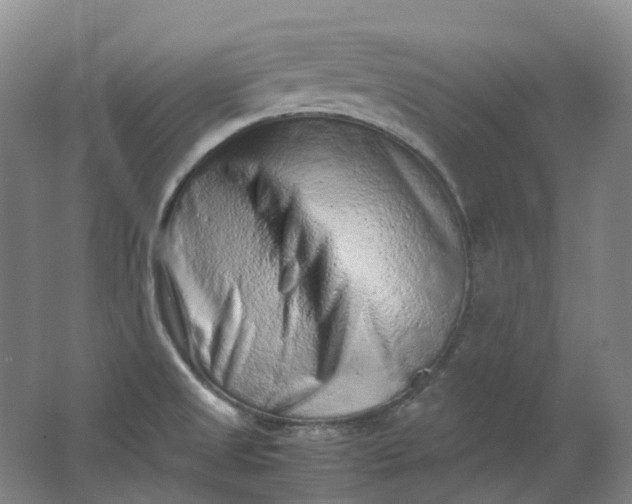 X0000062151525200512231518