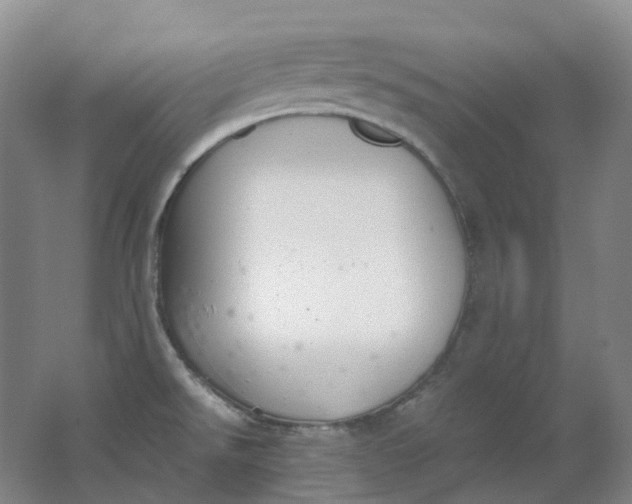 X0000062151526200512231518