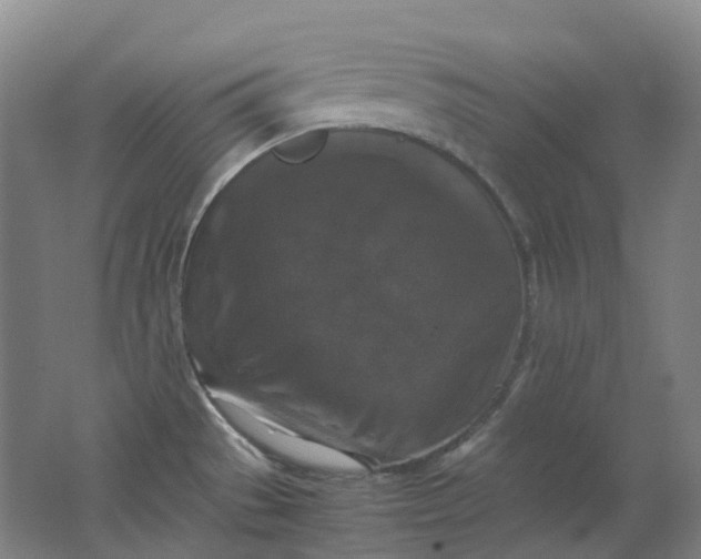 X0000062151529200512231518