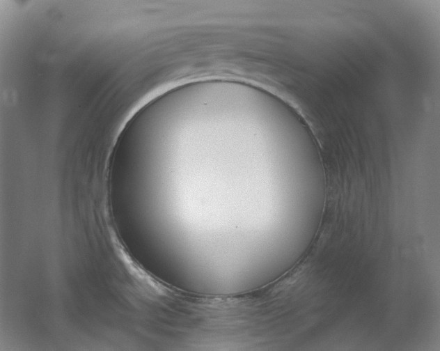 X0000062151534200512231518
