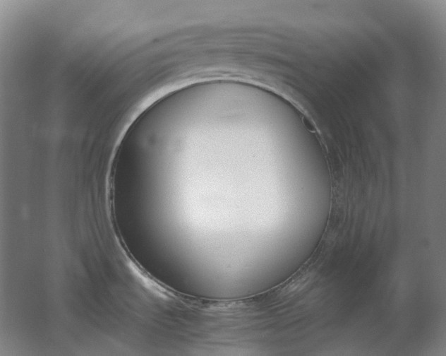 X0000062151535200512231518
