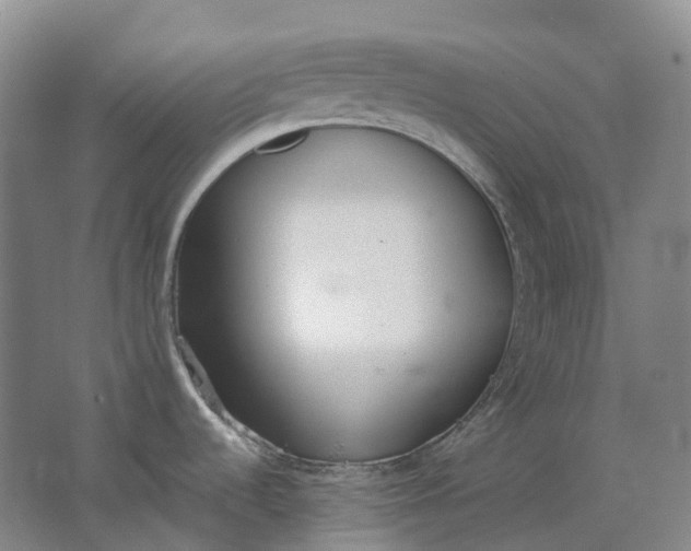 X0000062151536200512231518