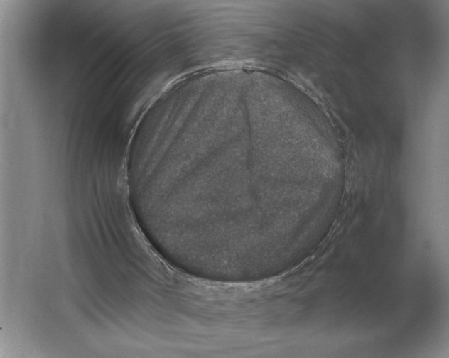 X0000062150002200512301605