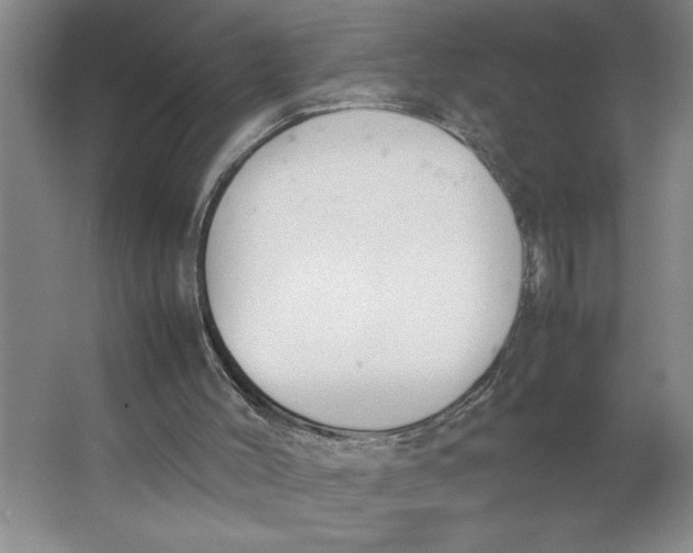 X0000062150004200512301605