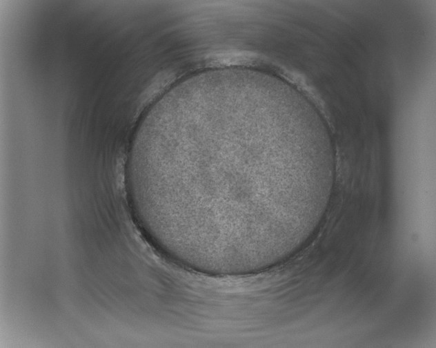 X0000062150010200512301605