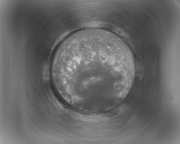 X0000062150012200512301605