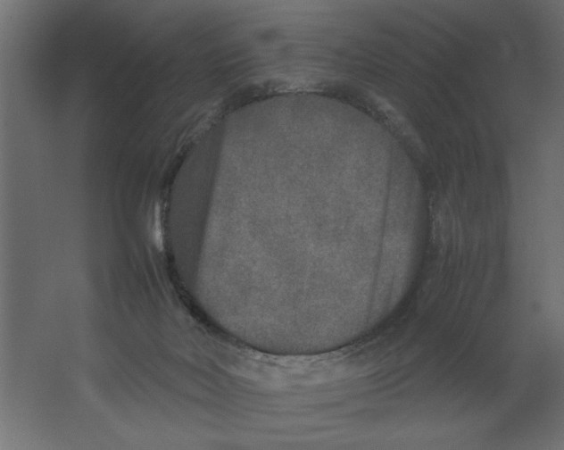 X0000062150026200512301605