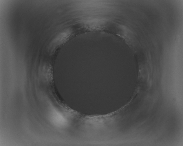 X0000062150029200512301605