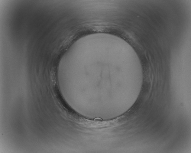 X0000062150031200512301605