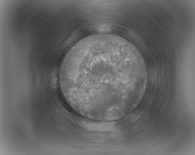 X0000062150032200512301605