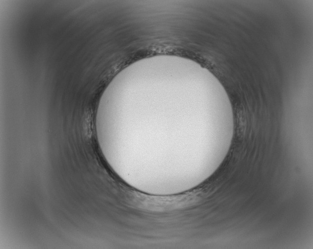 X0000062150034200512301605