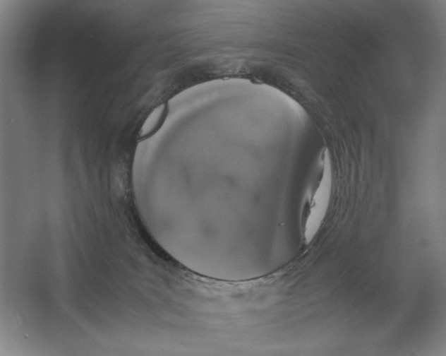 X0000062150035200512301605