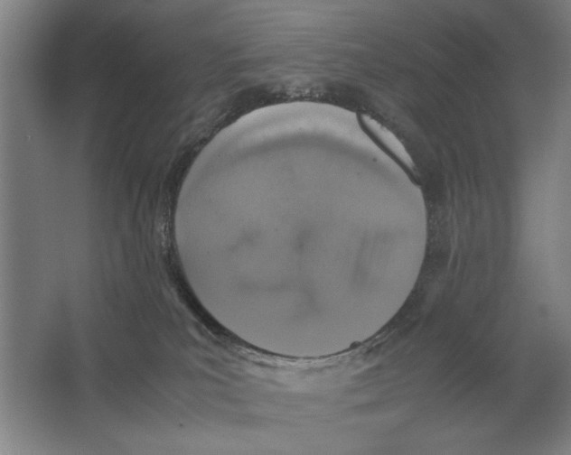 X0000062150039200512301604