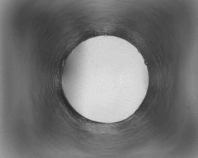 X0000062150040200512301604