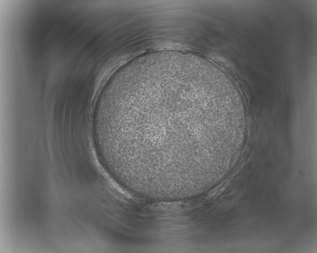 X0000062150049200512301604