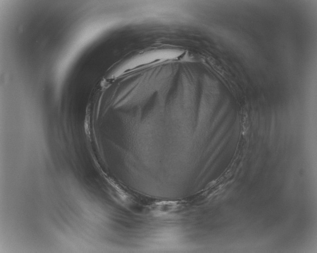 X0000062150052200512301604
