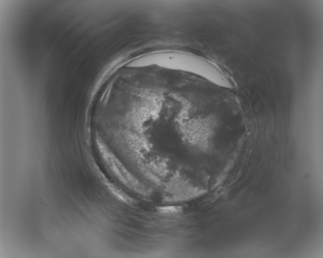 X0000062150053200512301604