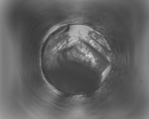 X0000062150054200512301604