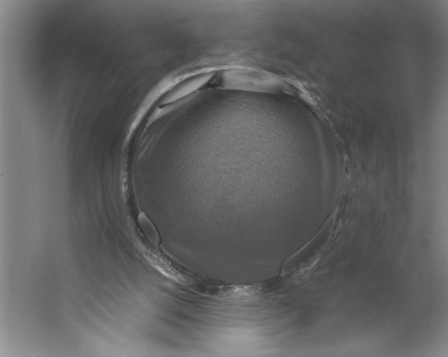 X0000062150056200512301604