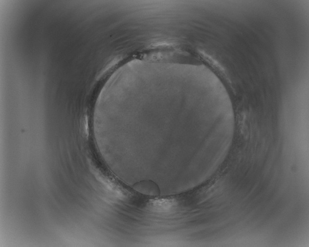 X0000062150067200512301604