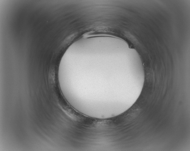 X0000062150072200512301604