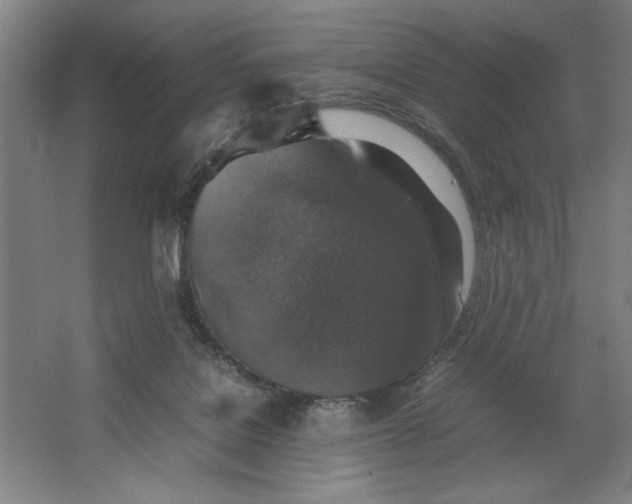 X0000062150076200512301604