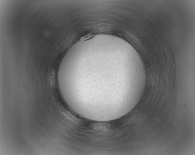 X0000062150077200512301604