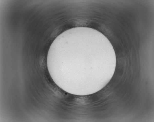 X0000062150079200512301604