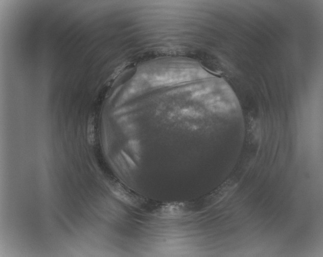 X0000062150080200512301604