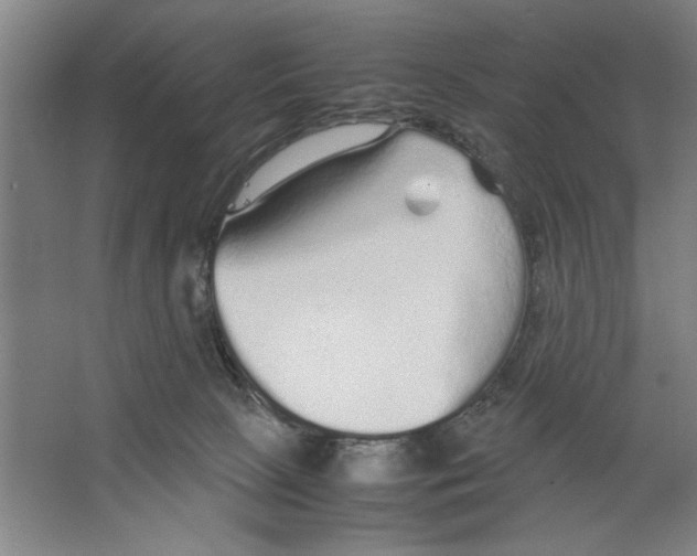X0000062150081200512301604