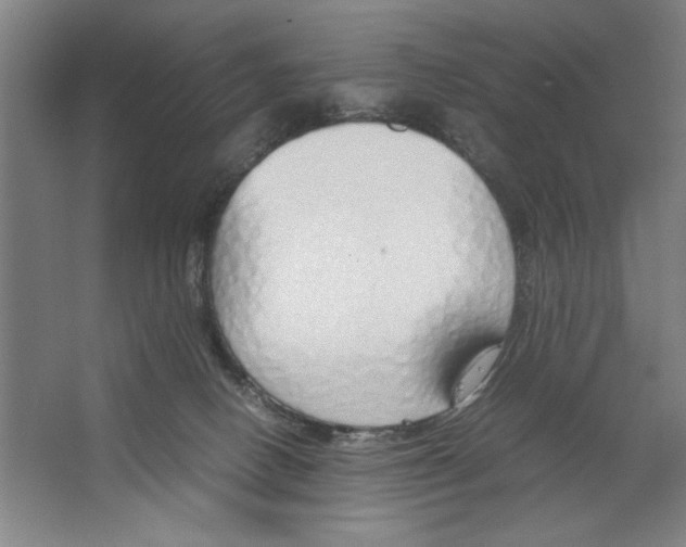 X0000062150082200512301604